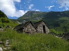 Alpeggi semiabbandonati ( Alpe Noccola )